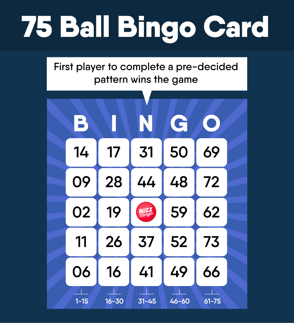 image of 75 ball bingo rules