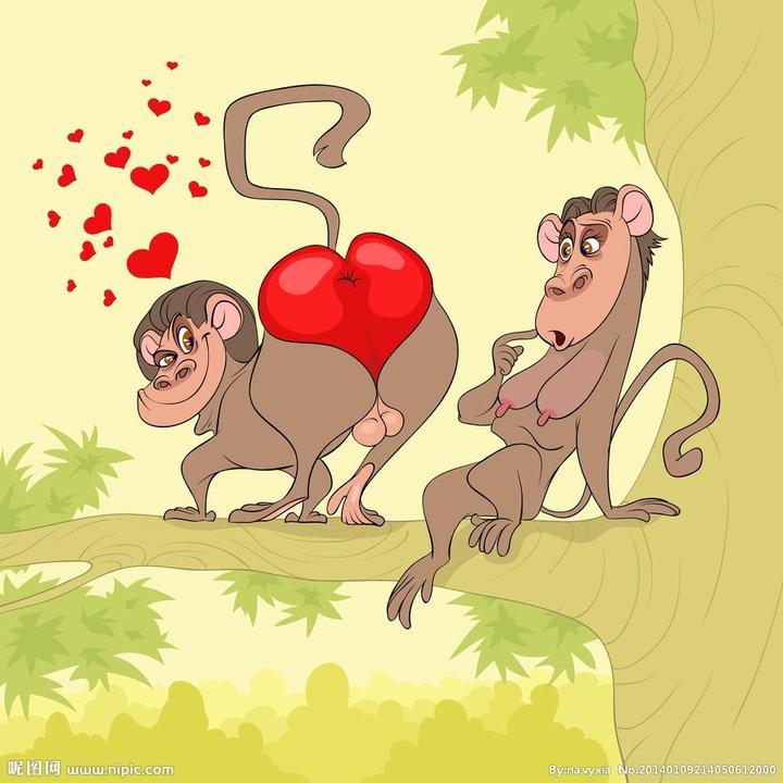 Monkey keer